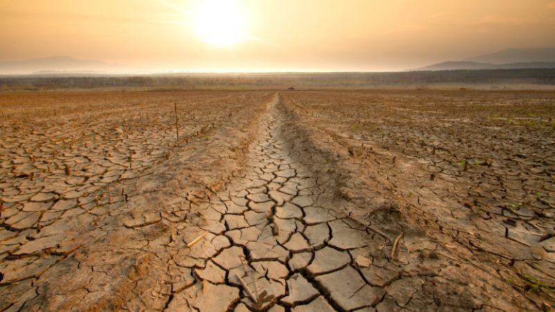 Сушата в Турция пресуши язовири и застраши водоснабдяването на Одрин и Измир